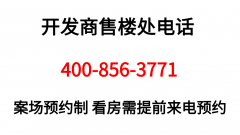 <strong>还能深切领会项目标地舆、周边配套、户</strong>